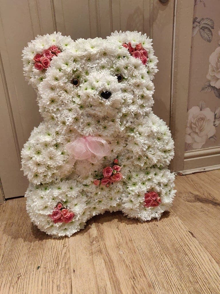 Sitting teddy-bear tribute covered in white chrysanthemums with pink rose accents